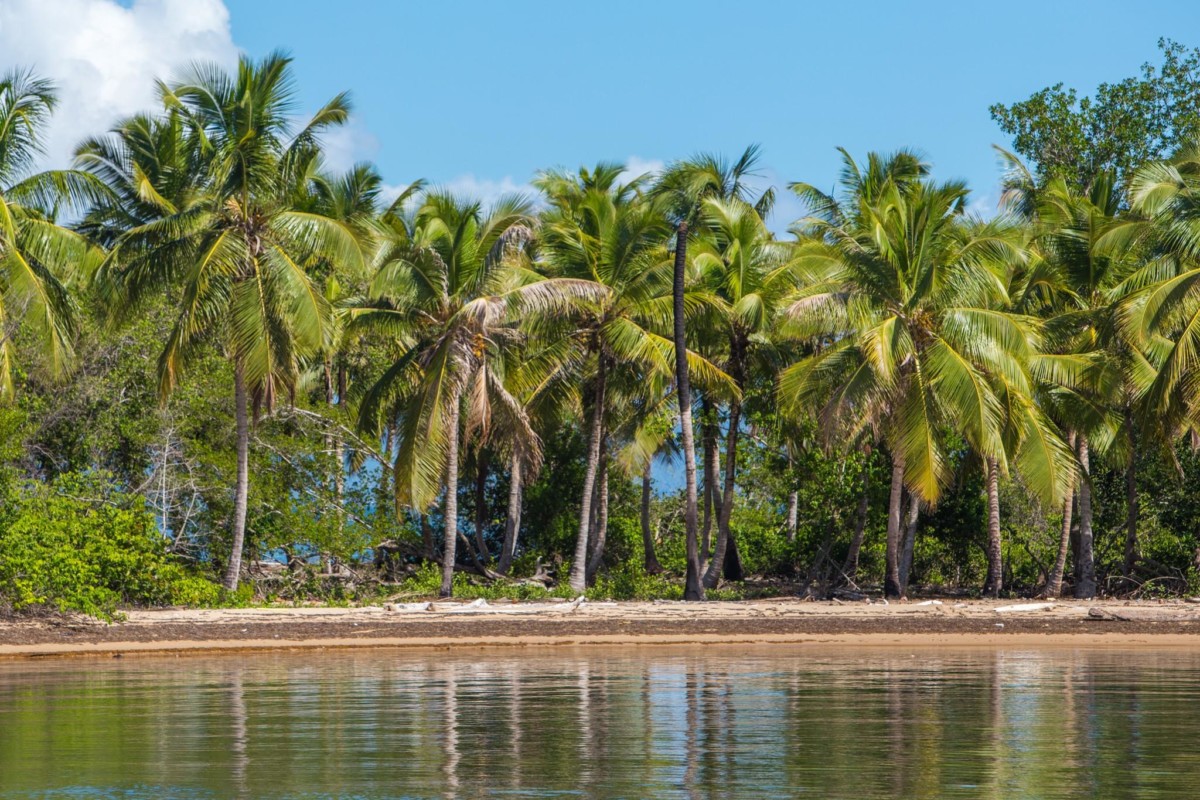 5 Unexpected Adventures in Remote Samana, Dominican Republic (Photos ...